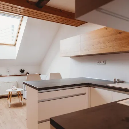 Apartment Loft In Old Town - Ac & Netflix Košice